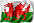 Flagge Wales